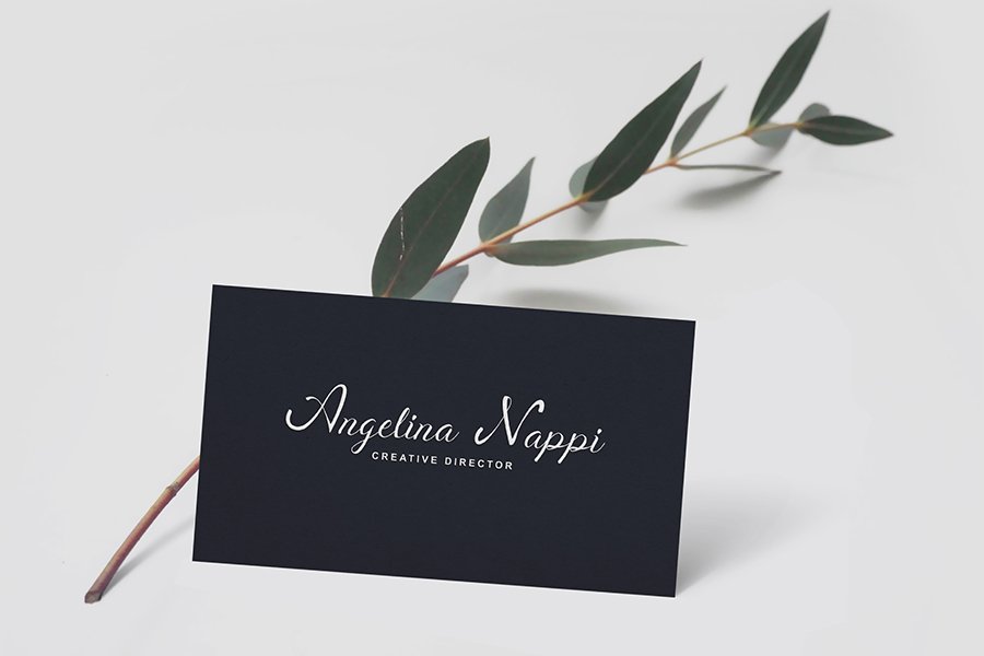 Berlyna Script Font Demo