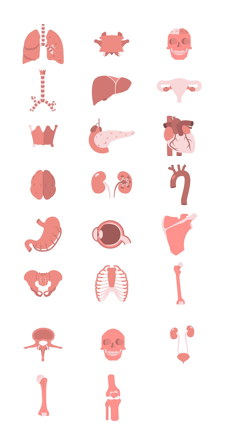 23 Human Anatomy Icons