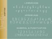 Nanelli Modern Script Demo