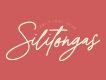 Suarte Signature Font Demo