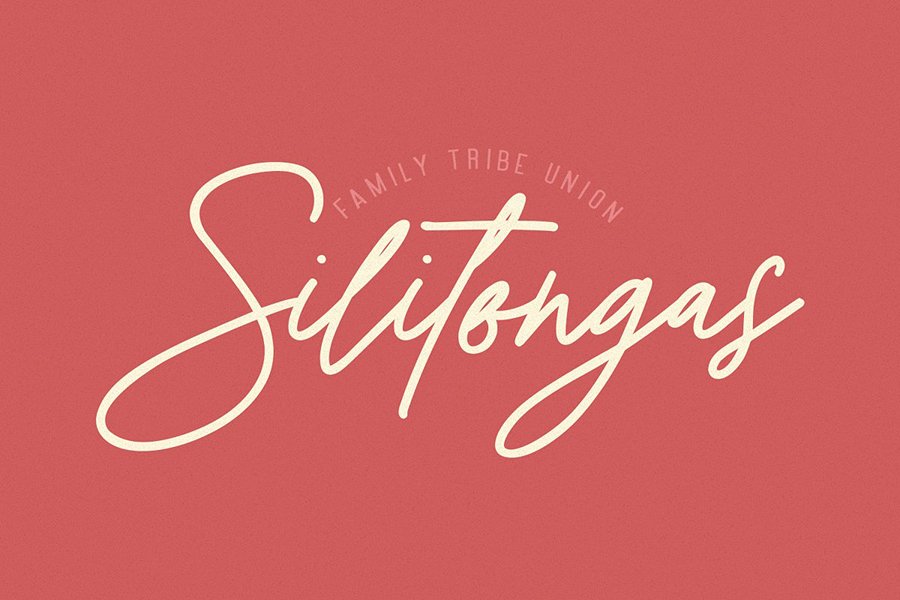 Suarte Signature Font Demo