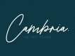 Suarte Signature Font Demo