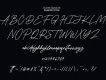 Suarte Signature Font Demo