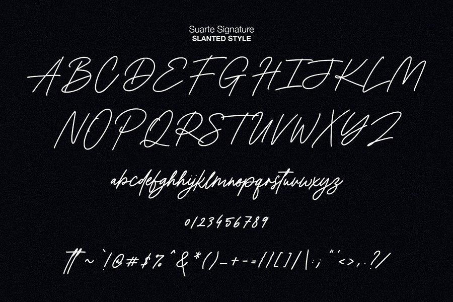 Suarte Signature Font Demo
