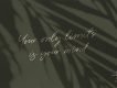 Wonder Bay Script Demo