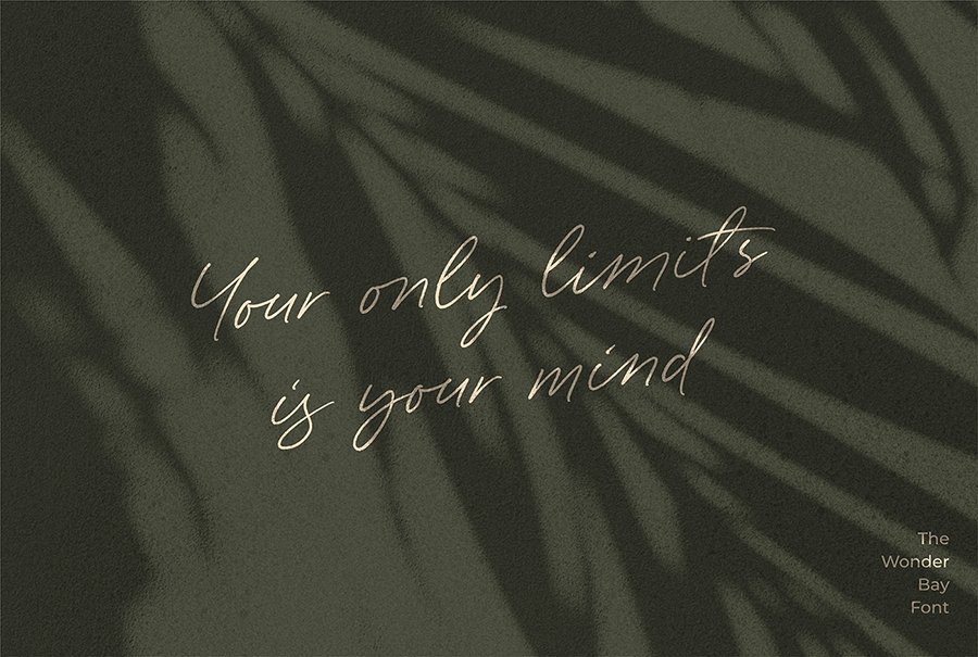 Wonder Bay Script Demo