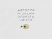Renaissance Free Elegant Typeface
