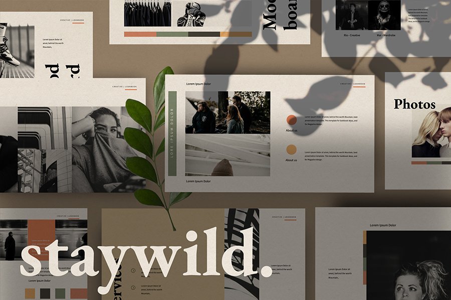 Staywild Presentation Template
