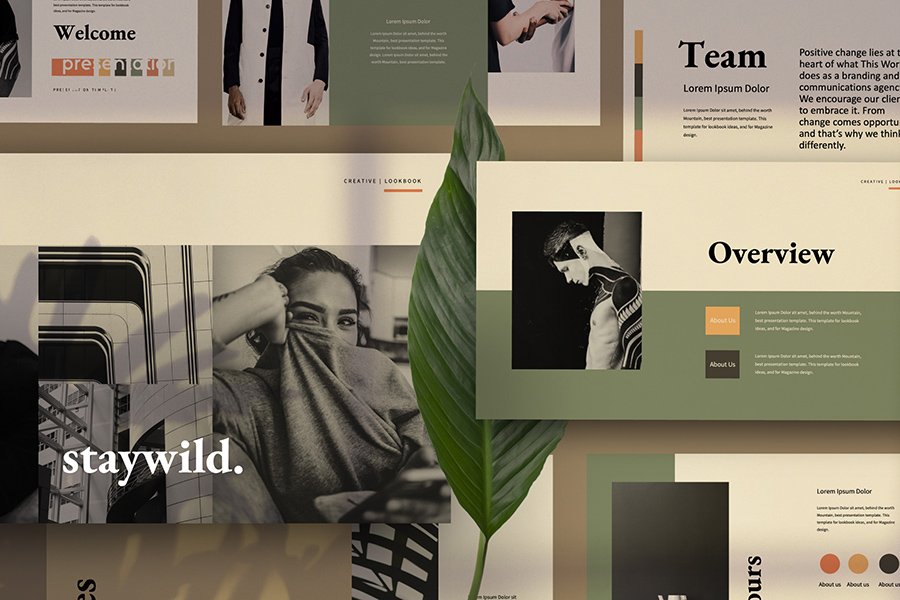 Staywild Presentation Template