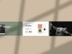 Staywild Presentation Template