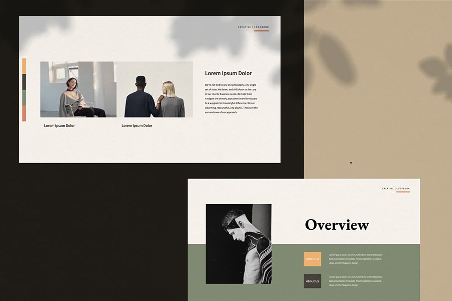 Staywild Presentation Template