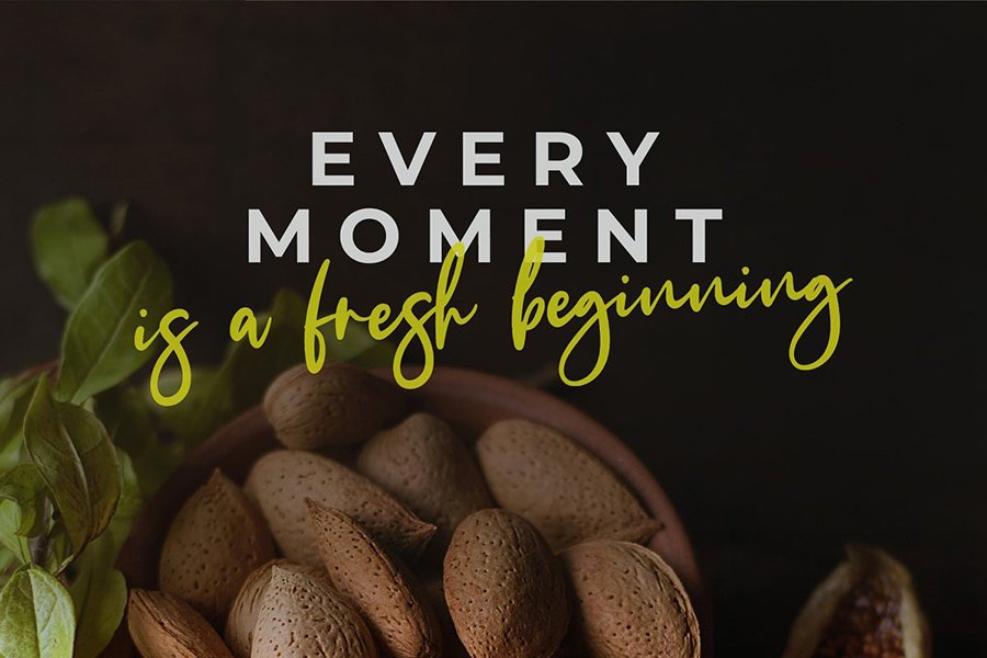 The Fashionist Script Font