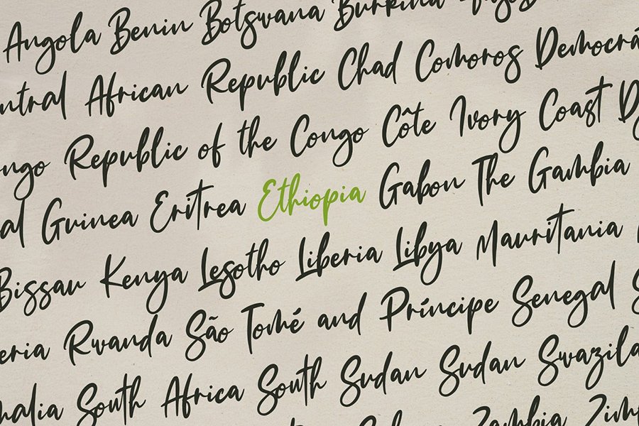 The Fashionist Script Font