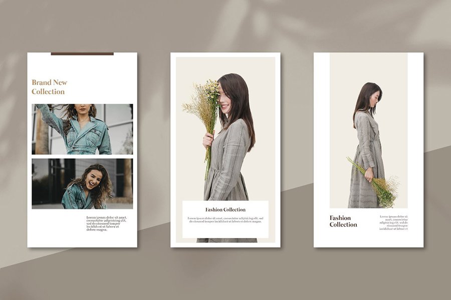The Fashionist Script Font