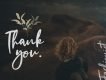 The Fashionist Script Font