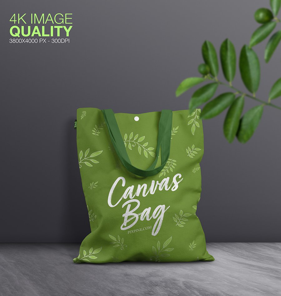 Free Canvas Bag Mockup