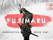 Fujimaru Brush Display Font