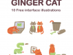 Ginger Cat UX Illustration Set