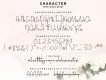 Hollen Amare Font Duo