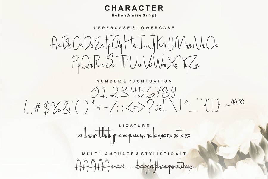 Hollen Amare Font Duo