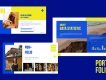 Portfolio Business Presentation