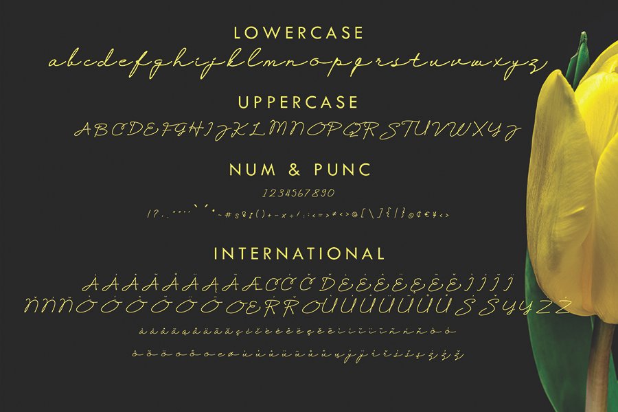 Selfiana Handwritten Font