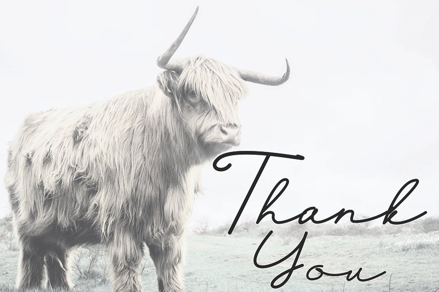 Selfiana Handwritten Font